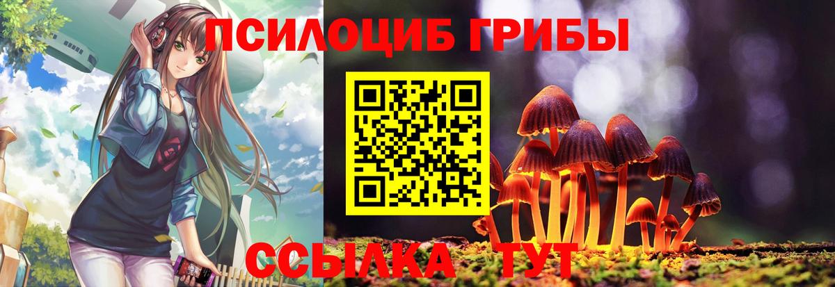 Красноуфимск  купить наркоту  Вход с VPN  Галлюциногенные грибы MAGIC MUSHROOMS 